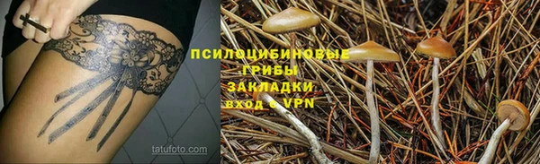 наркотики Алексин